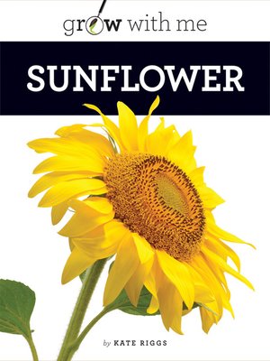 cover image of Sunflower